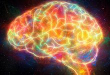 Peneliti Columbia Mengungkapkan Bagaimana Otak Kita Memicu Rasa Ingin Tahu