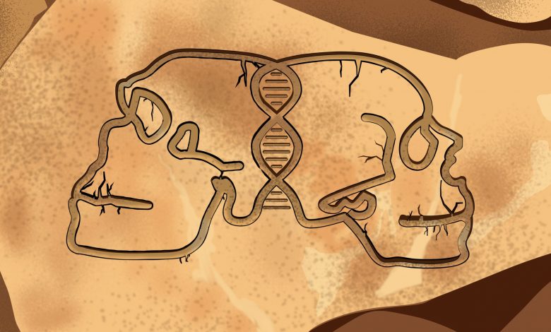 Menulis Ulang Sejarah Hominin: Penemuan Baru Mengungkap Hubungan Manusia Purba dan Neanderthal