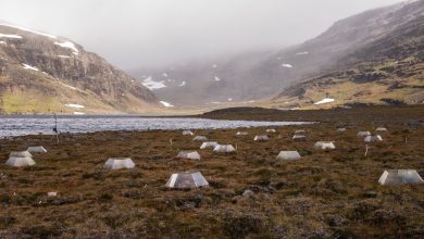 Tundra Berubah Menjadi Pengkhianat: Pemanasan Iklim Mengubah Penyerap Karbon Menjadi Sumber
