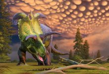 Temui Lokiceratops: Dinosaurus Baru dengan Tanduk Spektakuler Seperti Bilah