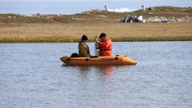 Studi Baru Mengungkapkan Sejarah Manusia Selama Ribuan Tahun di Kawasan Arktik Kanada