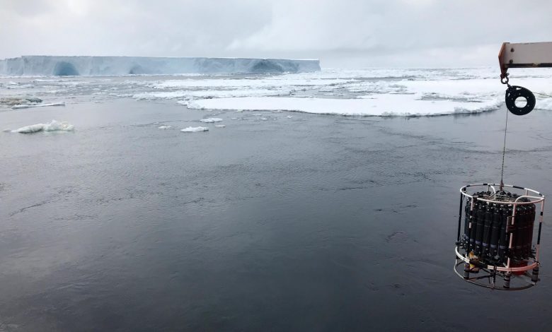 Anjing Laut yang Dilengkapi Sensor Menemukan Jalur Air Laut Baru di Sekitar Antartika