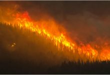 Musim Kebakaran Hutan Kanada 2023: Bencana Lingkungan yang Belum Pernah Terjadi Sebelumnya