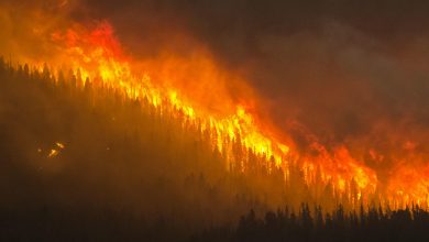 Musim Kebakaran Hutan Kanada 2023: Bencana Lingkungan yang Belum Pernah Terjadi Sebelumnya