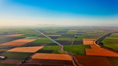 Lahan Pertanian California Tenggelam Lebih Cepat – Bisakah Kita Menghentikannya?