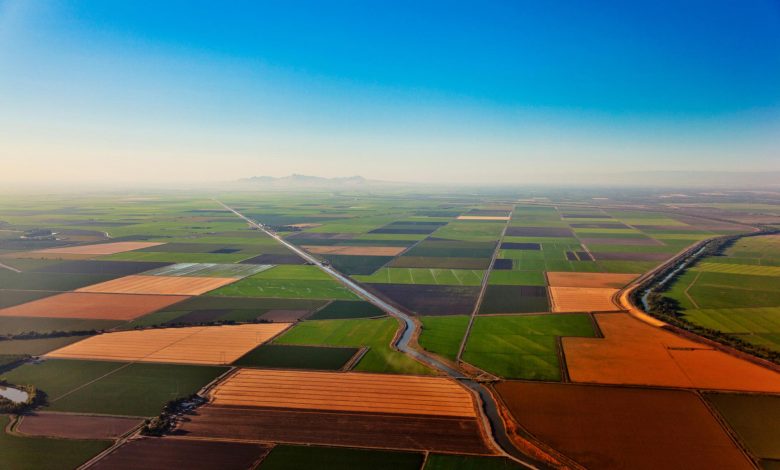 Lahan Pertanian California Tenggelam Lebih Cepat – Bisakah Kita Menghentikannya?