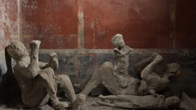 Ilmuwan Pecahkan Misteri “Ibu dan Anak” Pompeii yang Terkenal