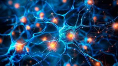 Studi Stanford Baru Mendefinisikan Ulang Hubungan Dopamin-Serotonin