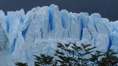 Penelitian Baru Mengungkap Cara Menyelamatkan Gletser Patagonia – tetapi Waktunya Singkat