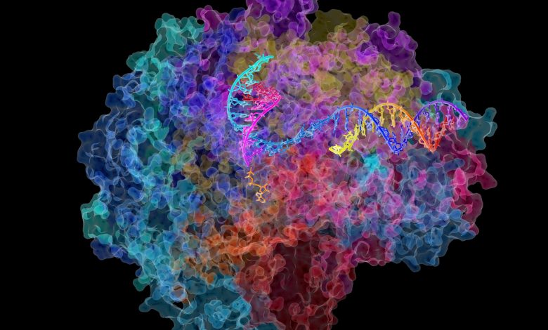 Ilmuwan Menemukan Protein Kuno yang Dapat Menulis Ulang Evolusi