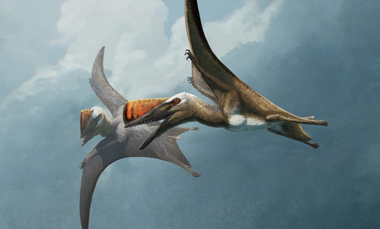 Fosil Pterosaurus Berusia 200 Juta Tahun yang Tidak Biasa Mengungkap Rahasia Evolusi Reptil Terbang