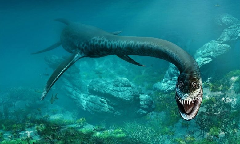 Ahli Paleontologi Memecahkan Misteri “Empat Sayap” Plesiosaurus