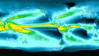 NASA Menemukan Waktu Hujan Adalah Pengubah Permainan bagi Tumbuhan di Seluruh Dunia