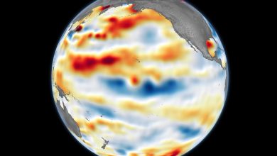Pengembalian La Niña mendinginkan Pasifik dan mengguncang cuaca global